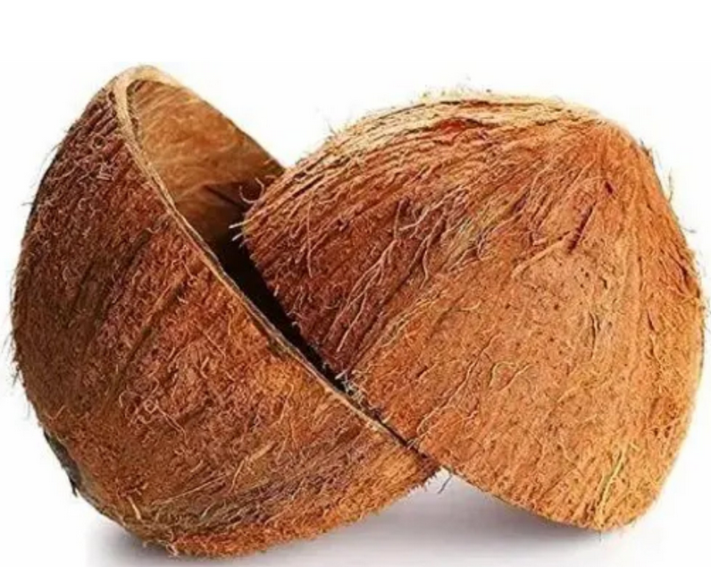 Brown Coconut Shell